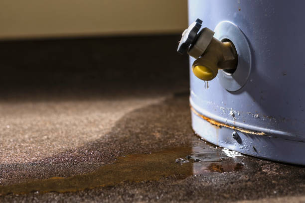 Best Flood damage cleanup  in Chester, WV