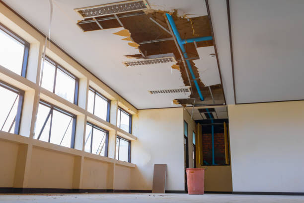 Best Local water damage restoration  in Chester, WV