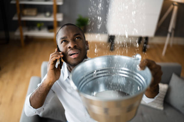 Trusted Chester, WV Water damage restoration Experts