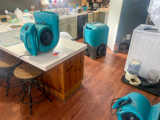 Best Ceiling water damage repair  in Chester, WV
