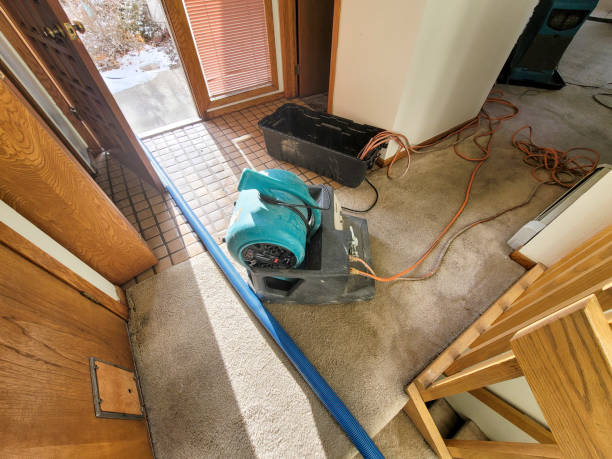 Best Commercial water damage restoration  in Chester, WV
