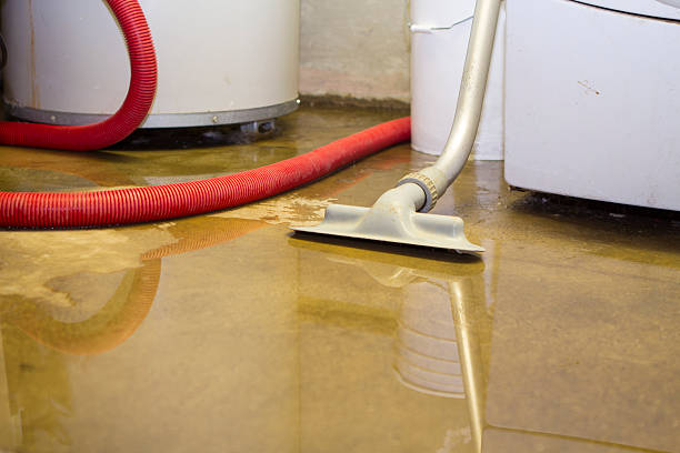 Local water damage restoration in Chester, WV