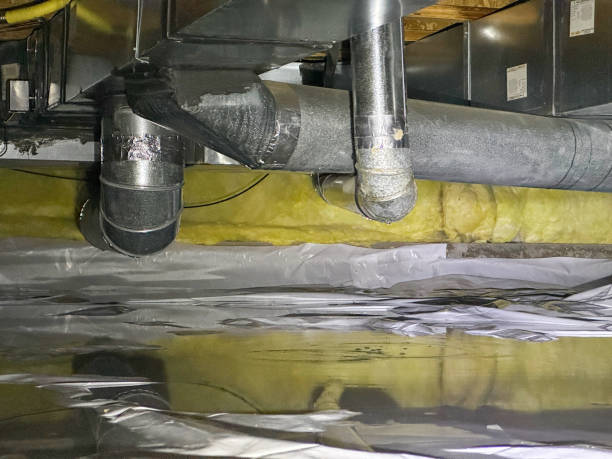 Best Fire Damage Restoration  in Chester, WV