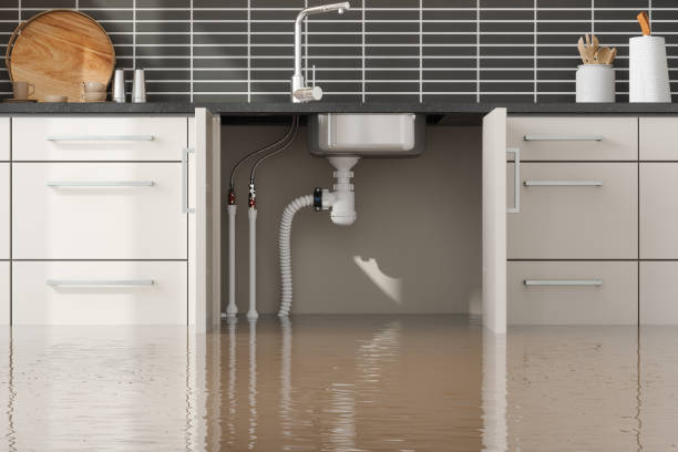 Best Water damage restoration near me  in Chester, WV