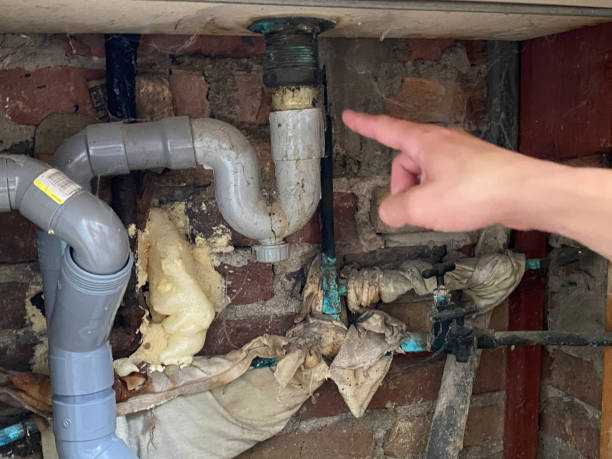 Best Local water damage restoration  in Chester, WV