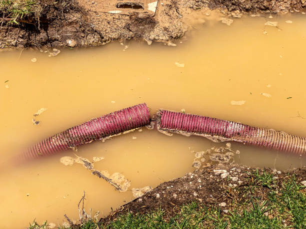 Best Flood damage cleanup  in Chester, WV