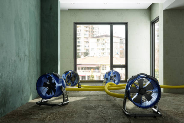 Water damage restoration insurance claims in Chester, WV